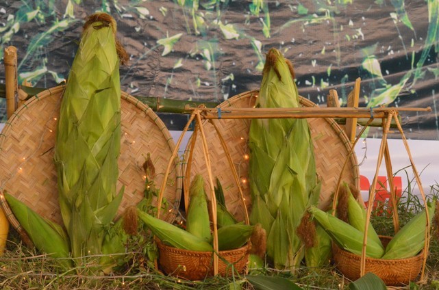 La lung Le hoi ton vinh ong to nghe bap nep Hoi An